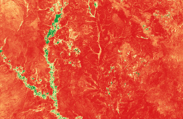 Oromia, Ethiopia. On Oct 16, UN-FAO calls the world to action to tackle global hunger on its World Food Day. To commemorate this event, this animation shows 10-daily Net Primary Productivity (NPP, crop productivity) in the 2019 growing season of the pastoral areas of southern Oromia, Ethiopia. It shows the greening of cropland along the banks of the Genale and Gestro rivers, and surrounding pasture, following the rains between February and May (the shorter Belg season). 